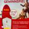 Stand Up Paddle Board gewinnen