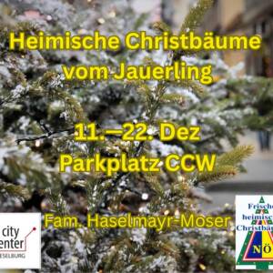 Christbaumverkauf beim City Center Wieselburg Christbaumverkauf beim City Center Wieselburg