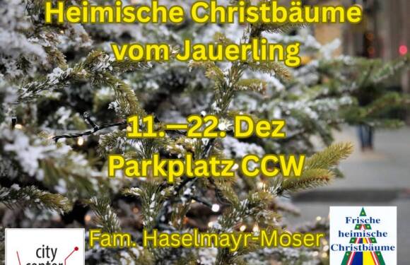Christbaumverkauf beim City Center Wieselburg Christbaumverkauf beim City Center Wieselburg
