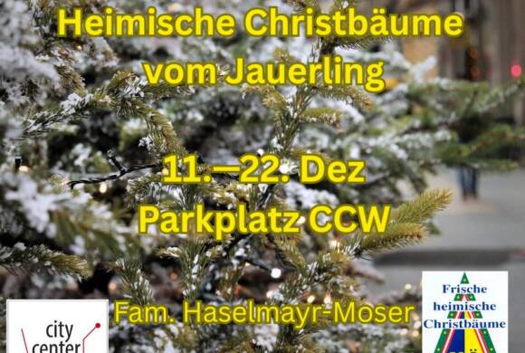 Christbaumverkauf beim City Center Wieselburg
